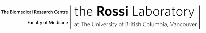 The Rossi Laboratory
